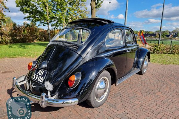 1963 ragtop beetle